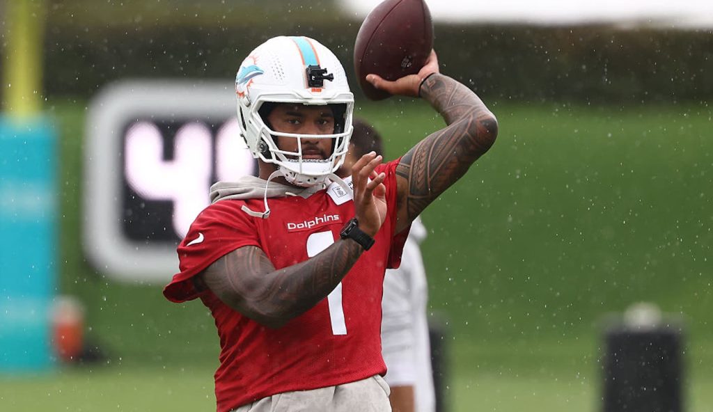 dolphins-training-camp.jpg