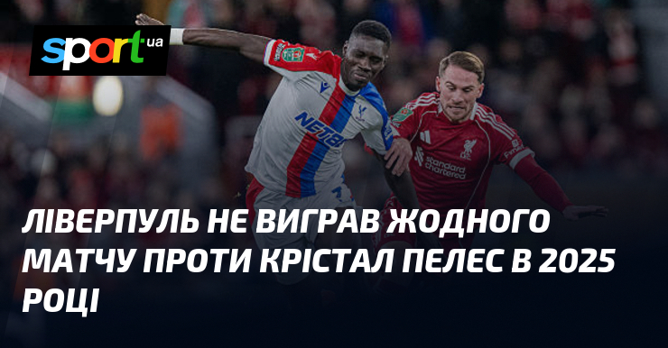 og_uk_810978.jpg